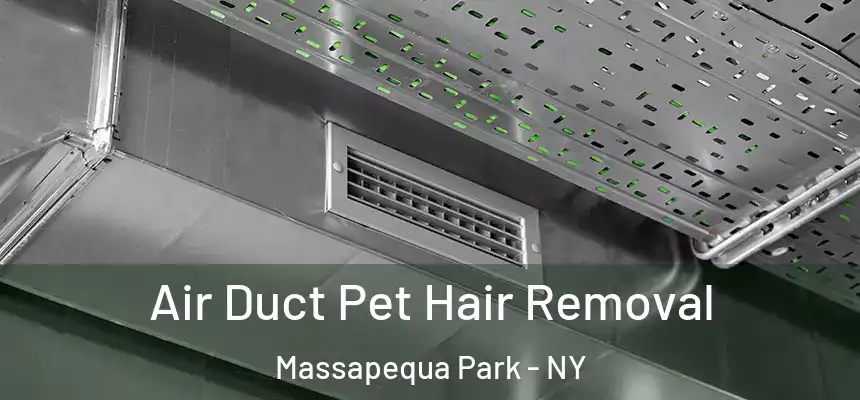  Air Duct Pet Hair Removal Massapequa Park - NY