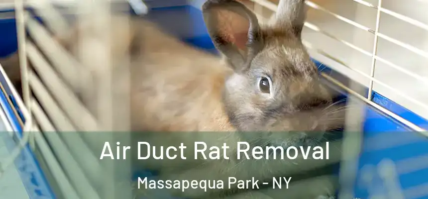 Air Duct Rat Removal Massapequa Park - NY