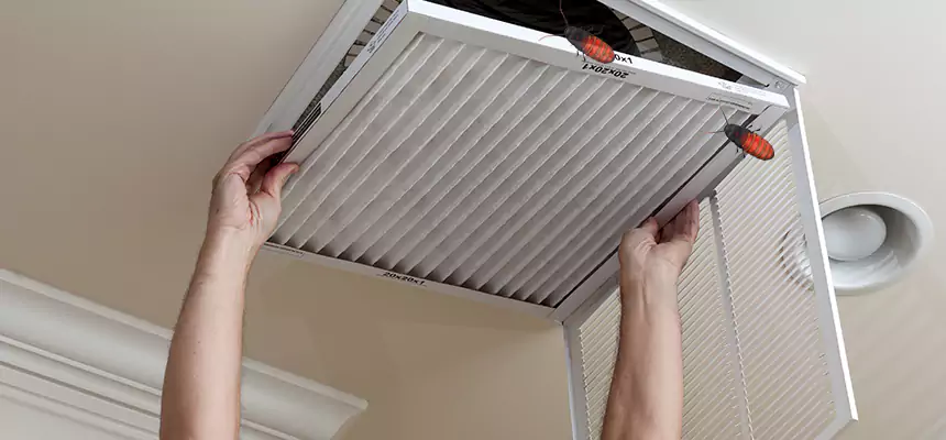 Our Insect Removal from Air Ducts Services in Massapequa Park, NY