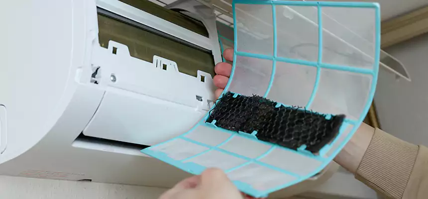 Gentle Ductwork Odor-Control Pet Dander Duct Cleaning in Massapequa Park, NY