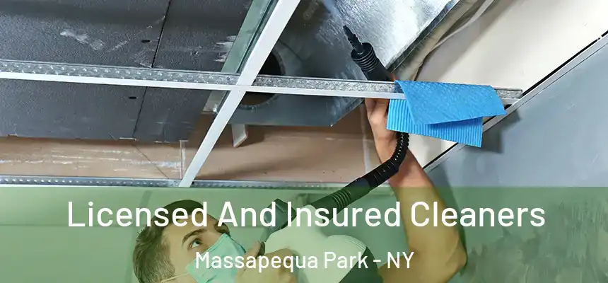 Licensed And Insured Cleaners Massapequa Park - NY