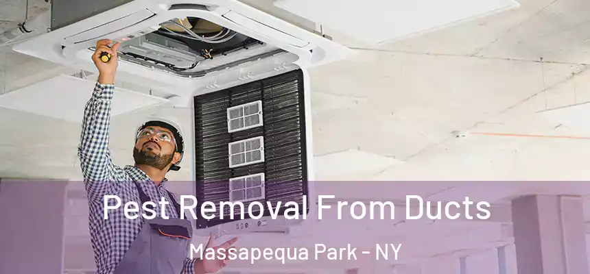 Pest Removal From Ducts Massapequa Park - NY