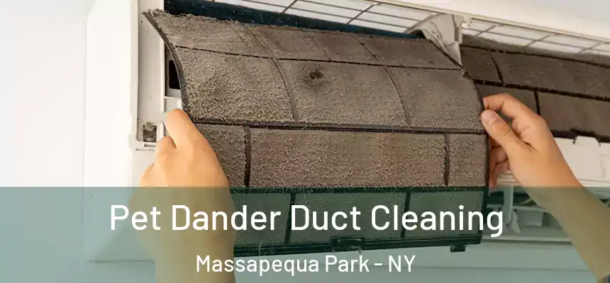Pet Dander Duct Cleaning Massapequa Park - NY