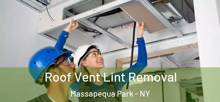  Roof Vent Lint Removal Massapequa Park - NY