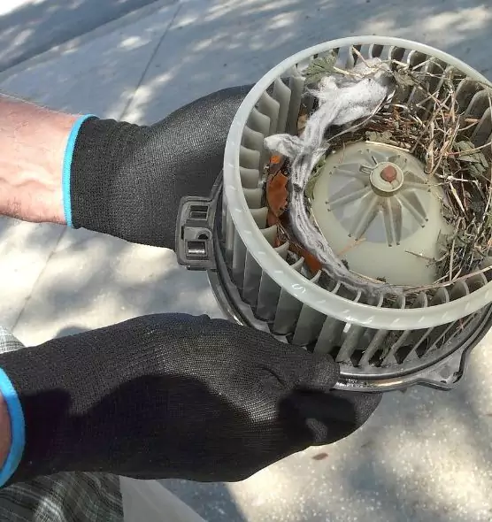 About Air Duct Rat Removal in Massapequa Park, NY