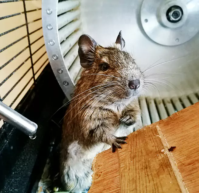 Why Homeowners & Businesses Trust Us Massapequa Park, NY