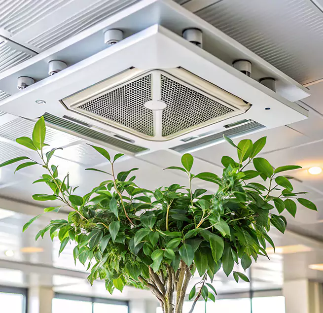 Why Homeowners & Businesses Trust Us in Massapequa Park, NY?