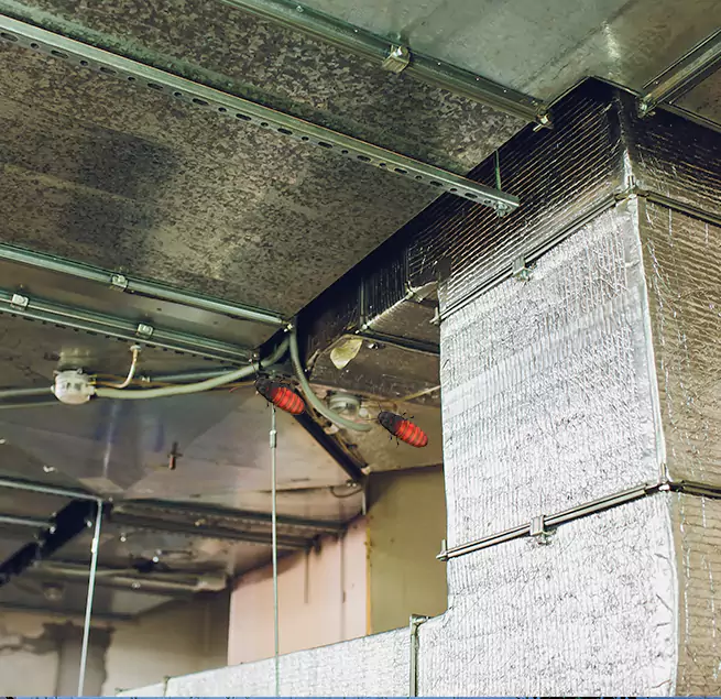 Why Homeowners & Businesses Trust Us Massapequa Park, NY?